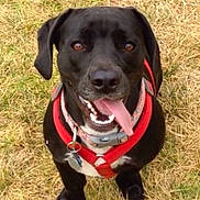 Kaleah is registered to the contest to win money with this photo: