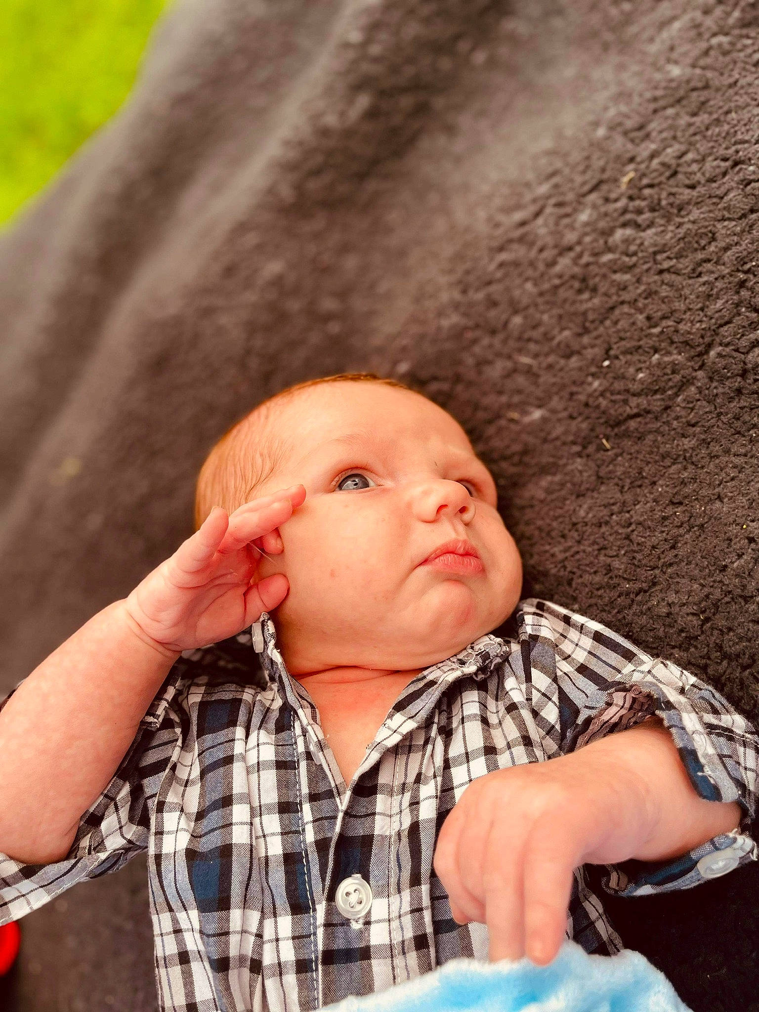 Cruz joined the competition — help win amazing prizes! baby, baby_toddler_clothing, blue, cheek, collar, comfort, dress_shirt, finger, grass, hand, happy, head, nose, organ, people, person, plaid, skin, sleeve, tartan