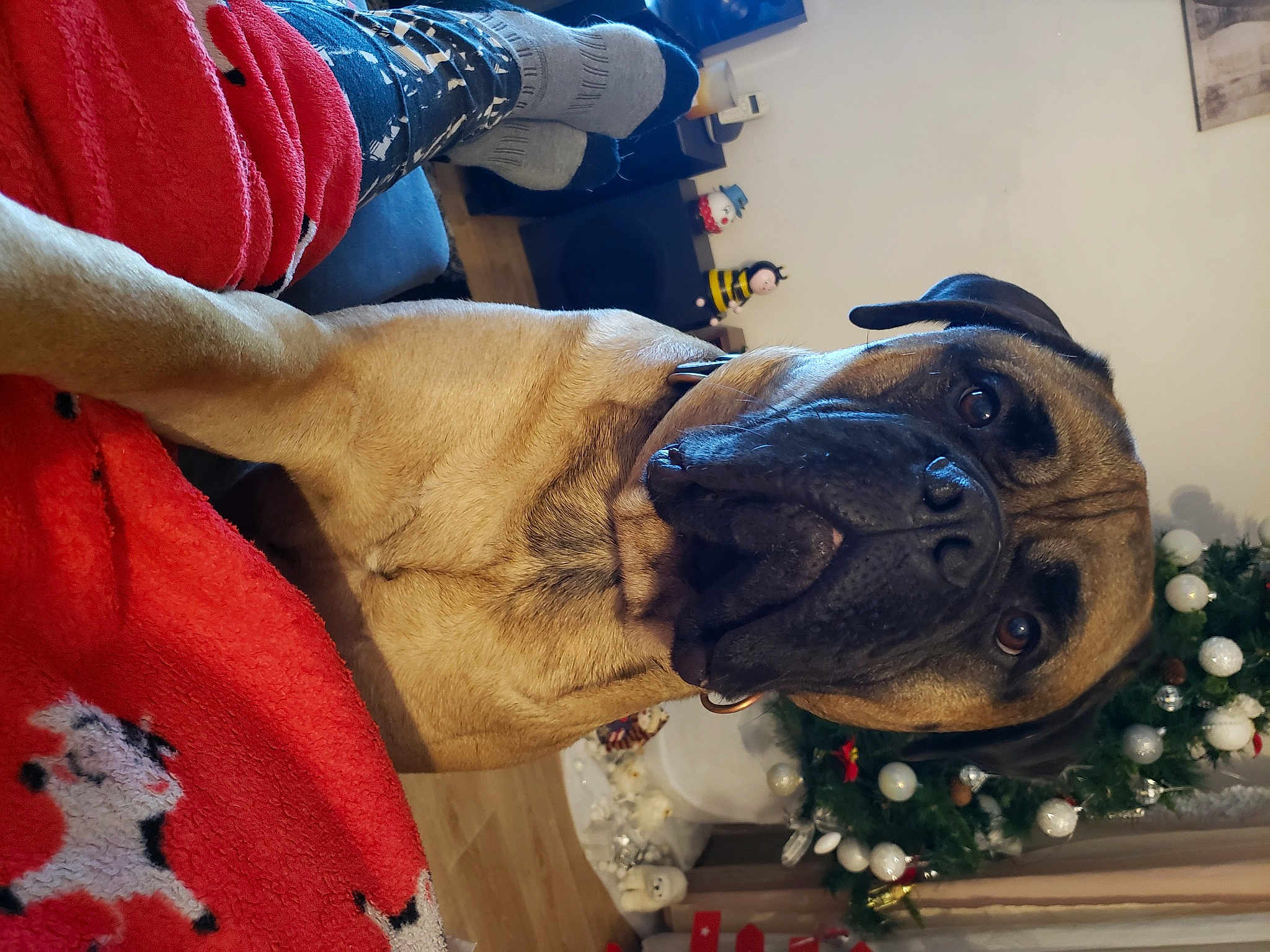 Roxy