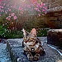 cat, tabby_cat, harness, stone, ledge, flowers, pink_flowers, sunlight, garden, outdoor, nature, greenery, animal, pet, daylight, closeup, curious, yellow_eyes, plant, background