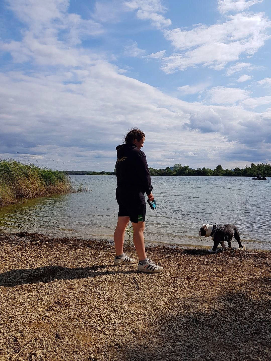 Leky a rejoint le concours — aidez-le/la à gagner de superbes lots ! bank, carnivore, cloud, coastal_and_oceanic_landforms, dog, dog_breed, grass, happy, horizon, lake, landscape, leg, outdoor_recreation, people_in_nature, plant, recreation, sky, tree, water, water_resources