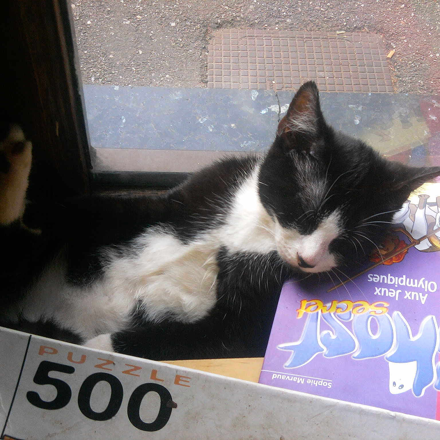 Ronny dit Dadouronro