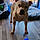 Tyson