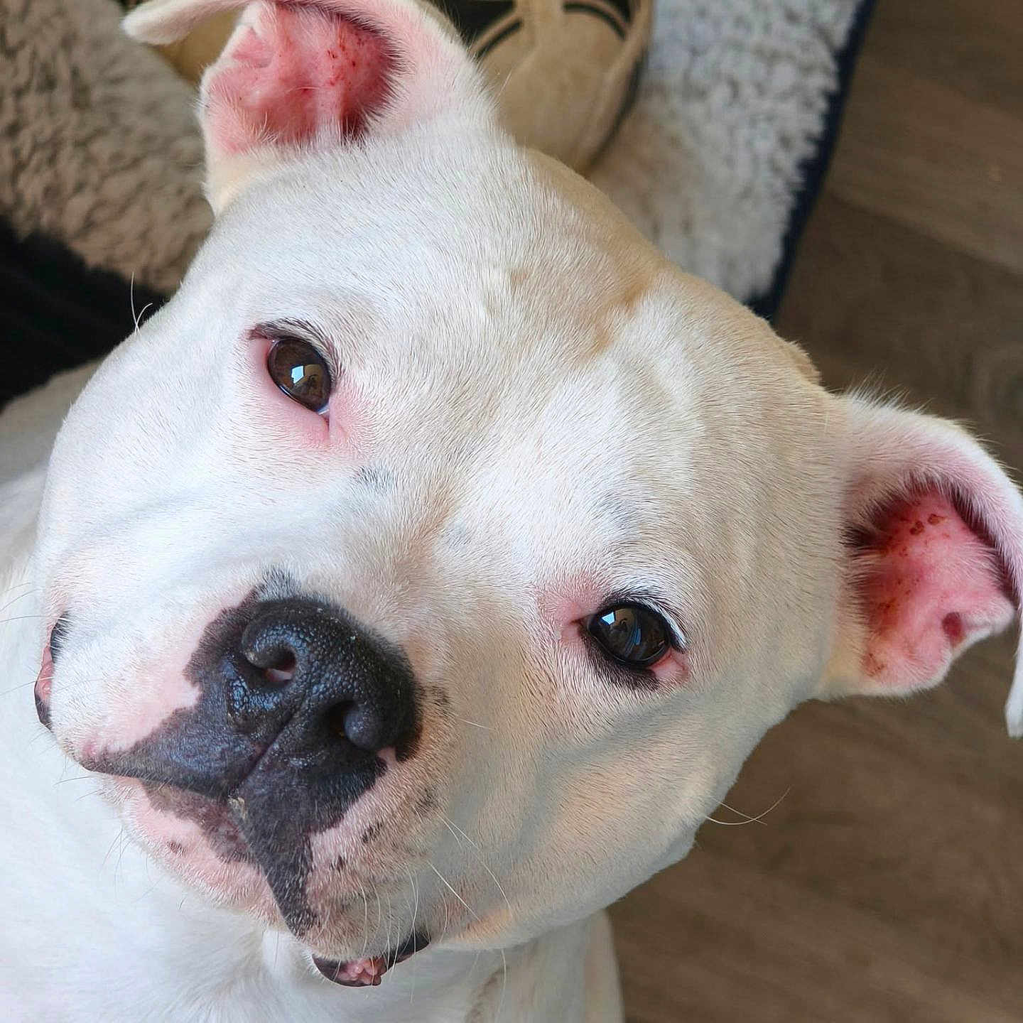 Tyson