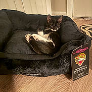 Death The Cat is registered to the contest to win money with this photo: cat, kitten, black_and_white, pet, animal, sleeping, lying_down, plush_bed, pet_bed, toe_beans, whiskers, ears, indoor, home, wood_floor, cozy, relaxed, pet_accessory, product_tag, tuxedo_cat