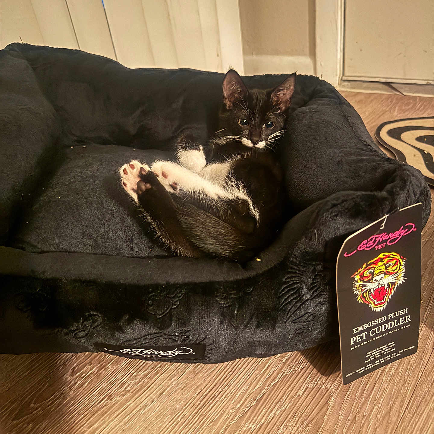 Death The Cat is registered to the contest to win money with this photo: cat, kitten, black_and_white, pet, animal, sleeping, lying_down, plush_bed, pet_bed, toe_beans, whiskers, ears, indoor, home, wood_floor, cozy, relaxed, pet_accessory, product_tag, tuxedo_cat