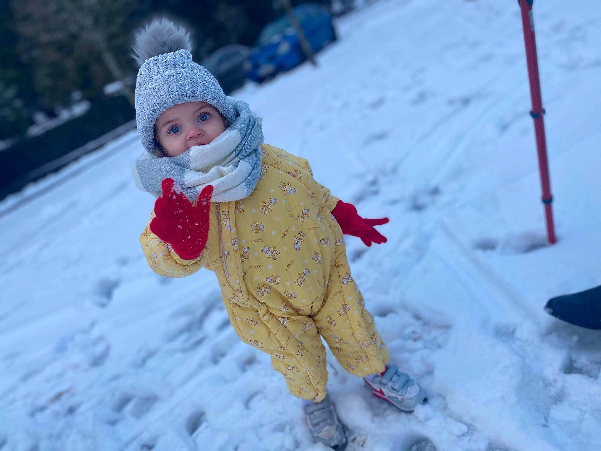 Aleina a rejoint le concours — aidez-le/la à gagner de superbes lots ! cap, child, event, freezing, frost, fun, geological_phenomenon, glove, happy, hat, headgear, headwear, holiday, leisure, person, precipitation, recreation, slope, snow, toddler