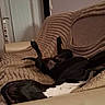 belly_up, black_dog, blanket, blanket_ridges, couch, cushion, dog, doorway, fur, indoor, legs_up, living_room, paw, pet, phone_watermark, relaxed, sleeping, sofa, upholstery, wall