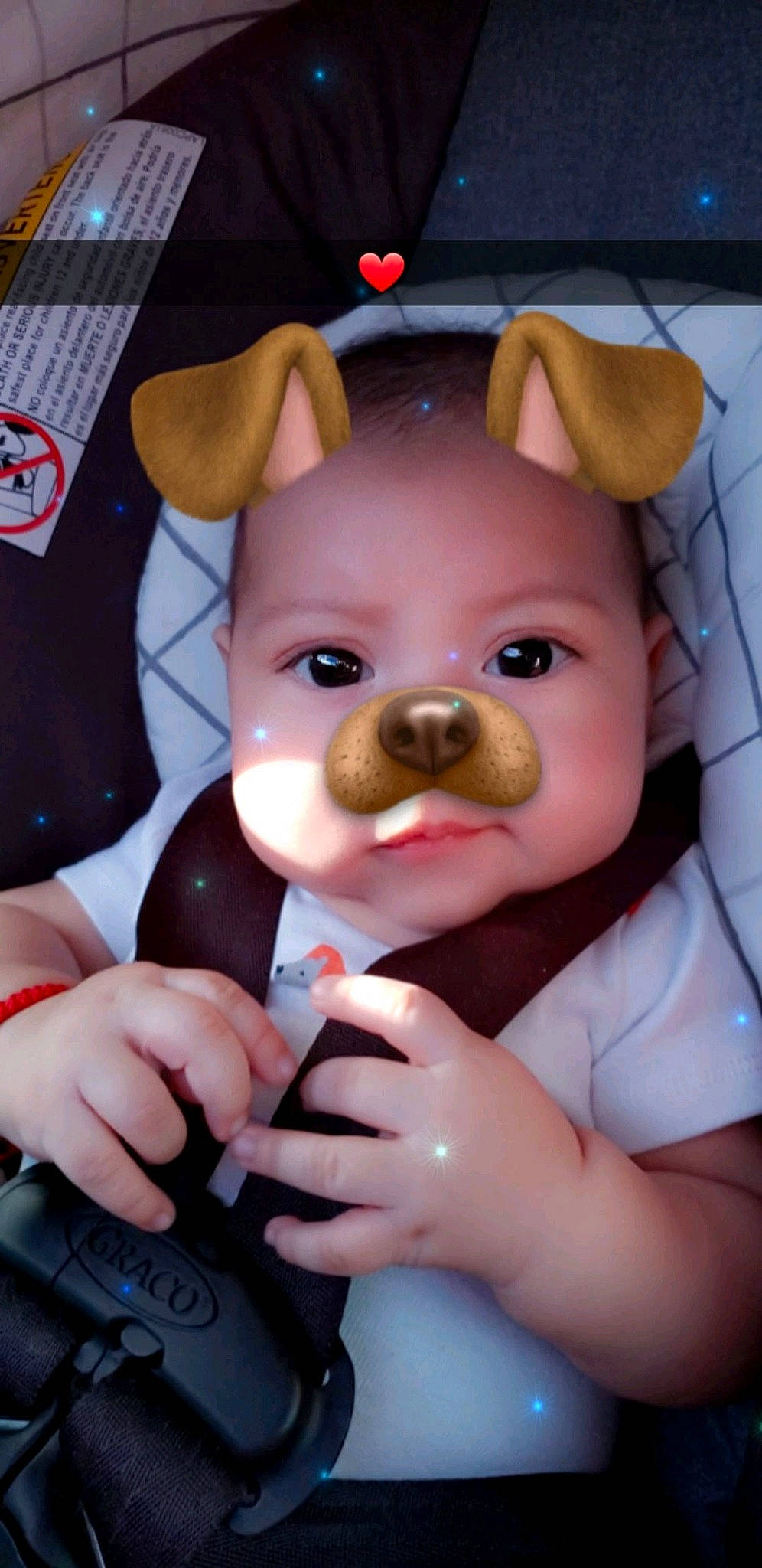 Adan is registered to the contest to win money with this photo: child, ear, person, teddy_bear