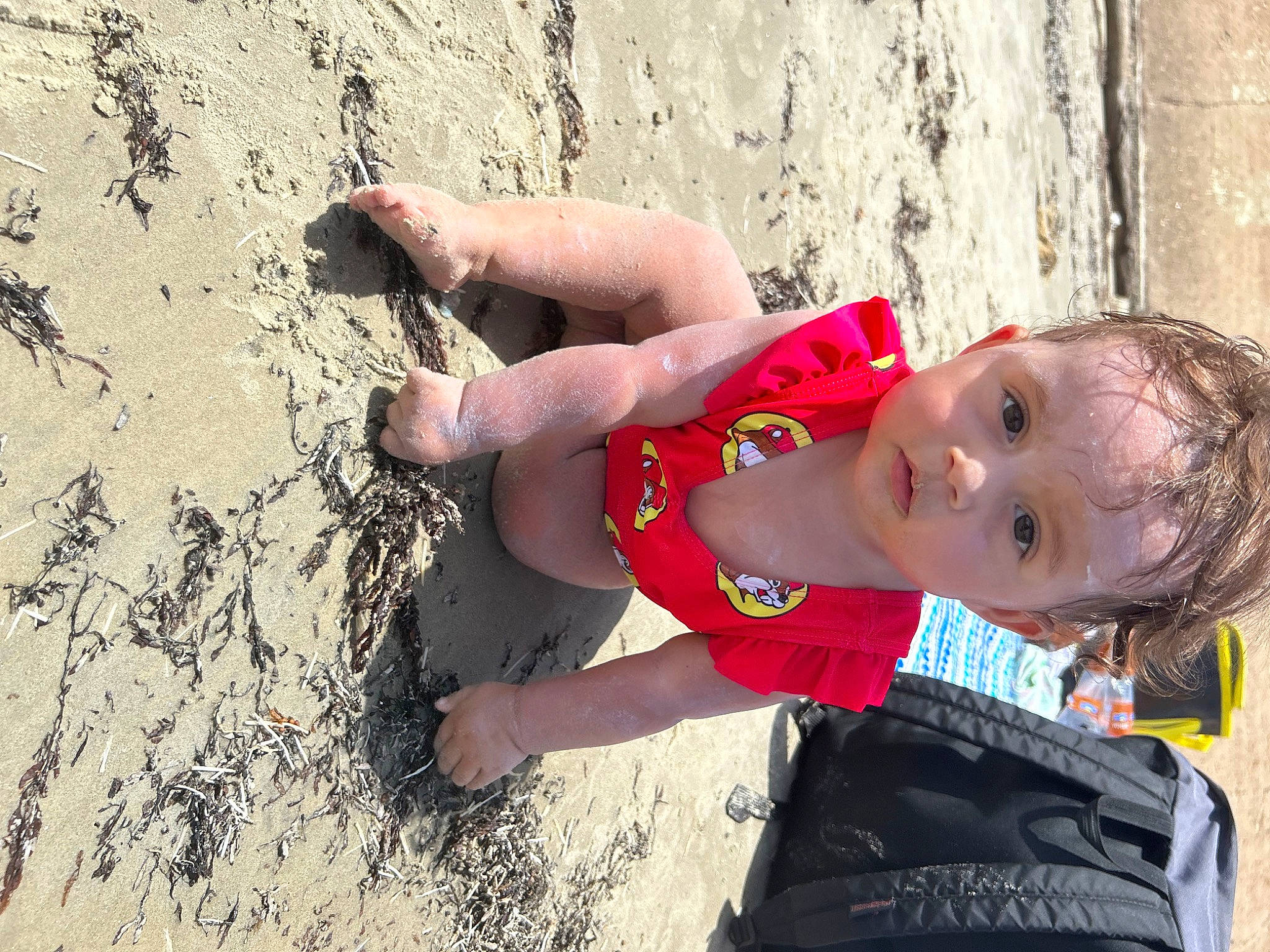 Sage joined the competition — help win amazing prizes! adventure, baby, beach, child, fun, happy, human_body, leisure, people_in_nature, person, play, recreation, rock, sand, sitting, smile, soil, thigh, toddler, vacation