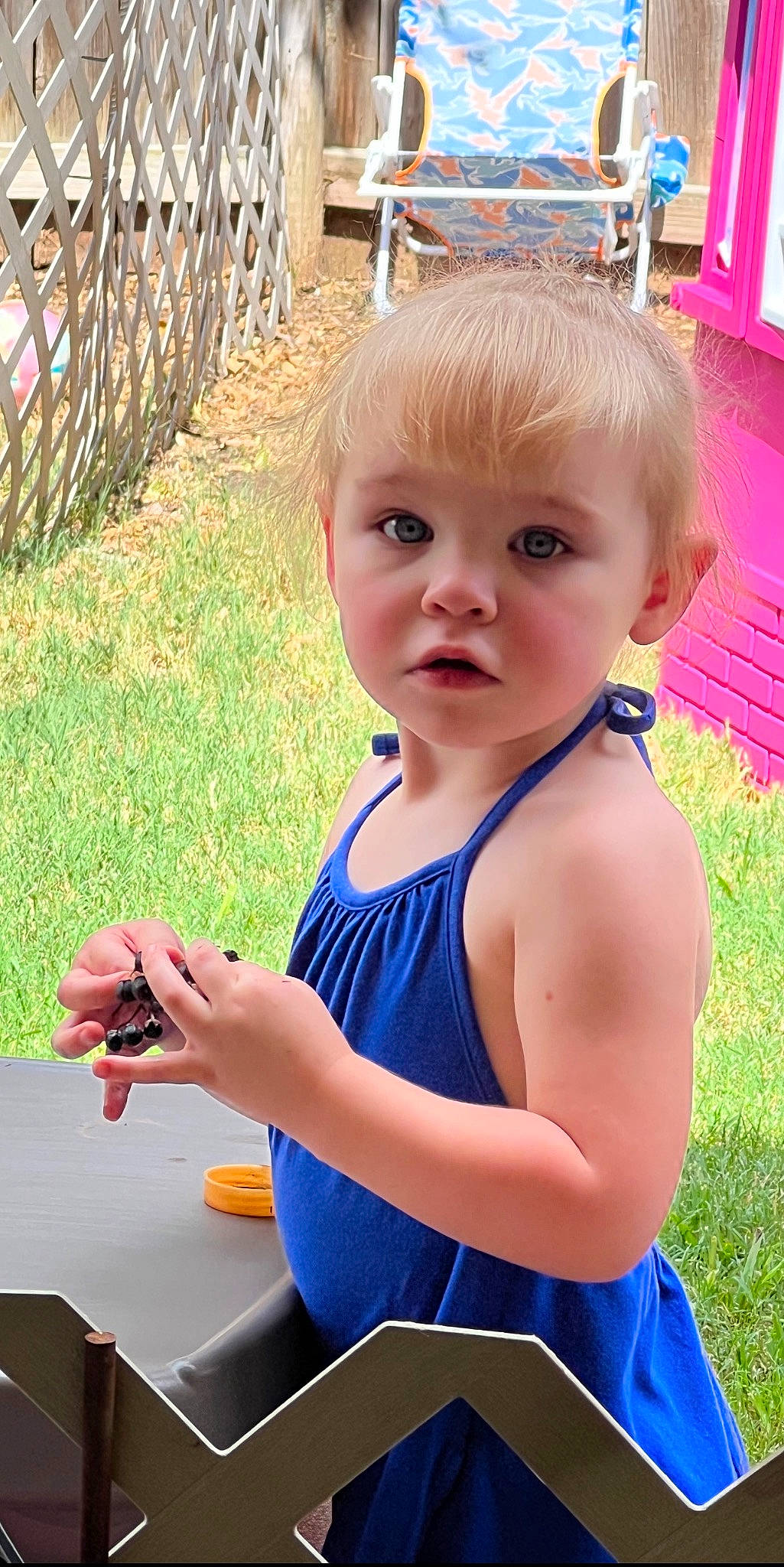 Isabella is registered to the contest to win money with this photo: baby_toddler_clothing, blond, blue, child, electric_blue, facial_expression, fence, fun, grass, hairstyle, happy, leisure, person, play, recreation, skin, sleeveless_shirt, summer, t_shirt, toddler