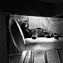 animal, black_and_white, cat, chair, cozy, floor, furniture, grooming, indoor, legs, light, monochrome, paw, pet, quiet, relaxing, shadow, tabby, tile, wood