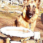 Sadie is registered to the contest to win money with this photo: