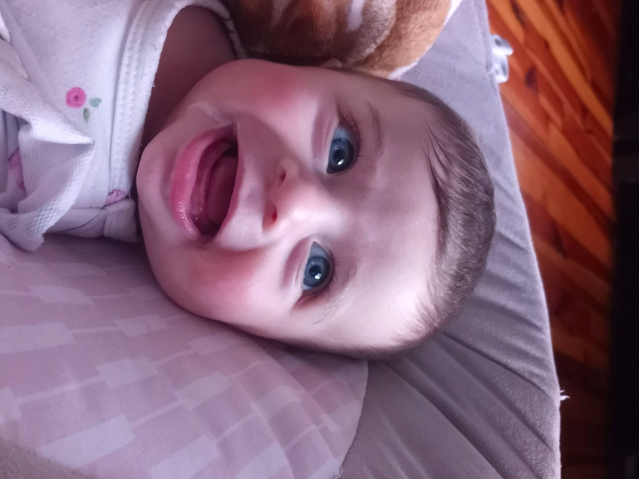 Hayley is registered to the contest to win money with this photo: cheek, chin, ear, eyebrow, eyelash, flash_photography, forehead, happy, hat, human_body, iris, jaw, lip, mouth, nose, person, plant, skin, smile, toddler