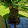 Rocky