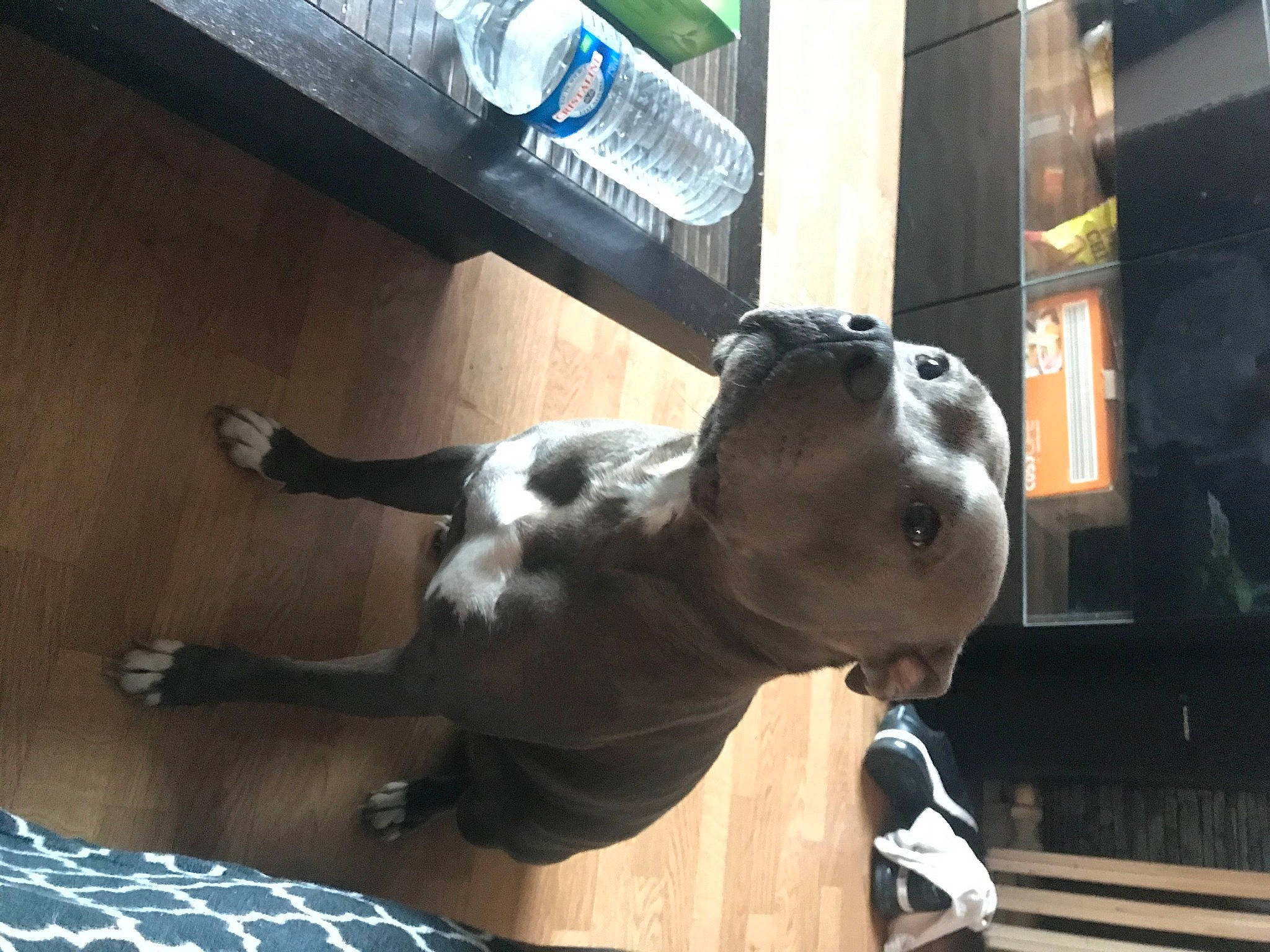 Nima