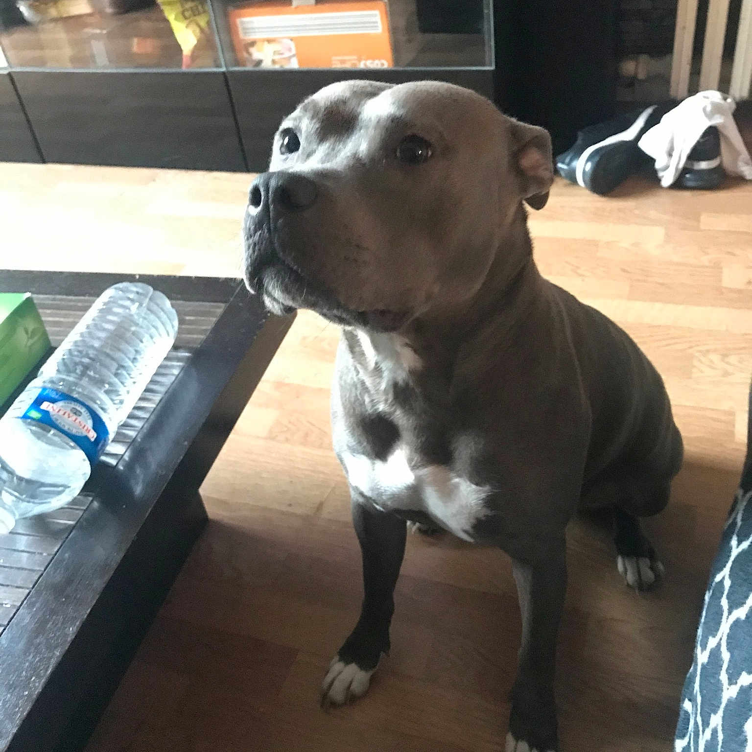 Nima
