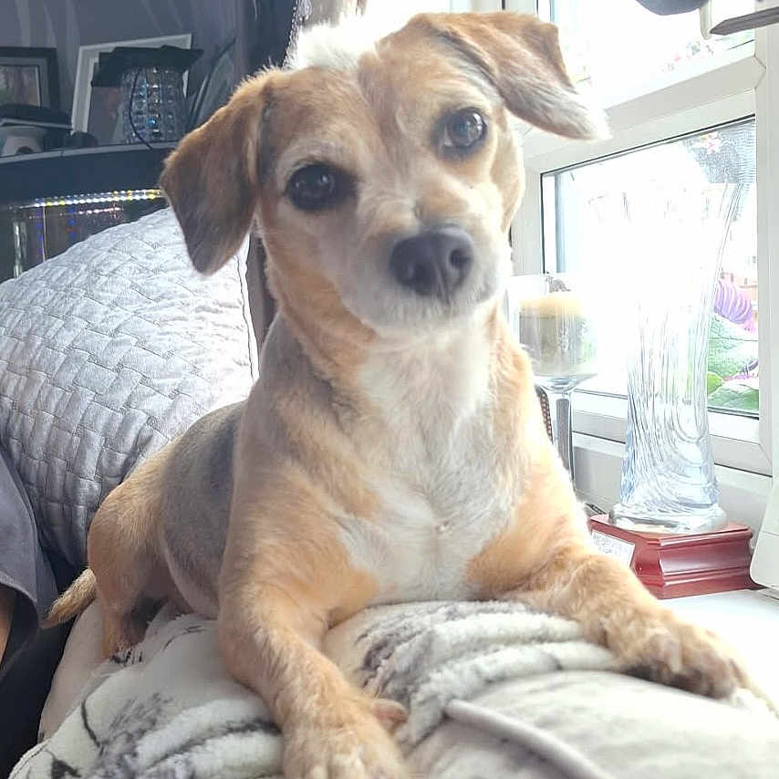 Lily Lou