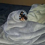 Sammy is registered to the contest to win money with this photo: advertising, bedding, clock, comfort, flooring, font, happy, illustration, internet_meme, linens, logo, pattern, photo_caption