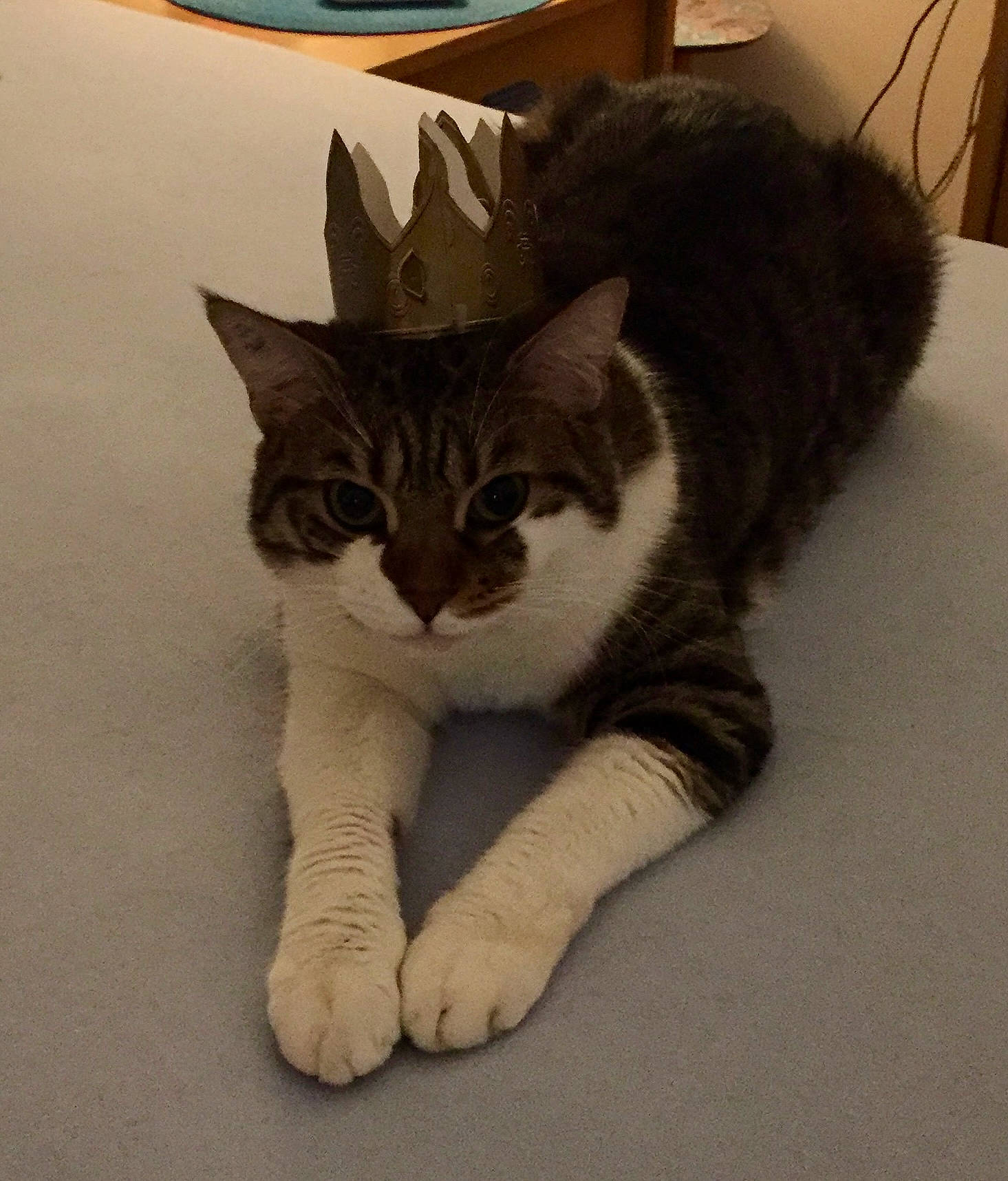 Pépito