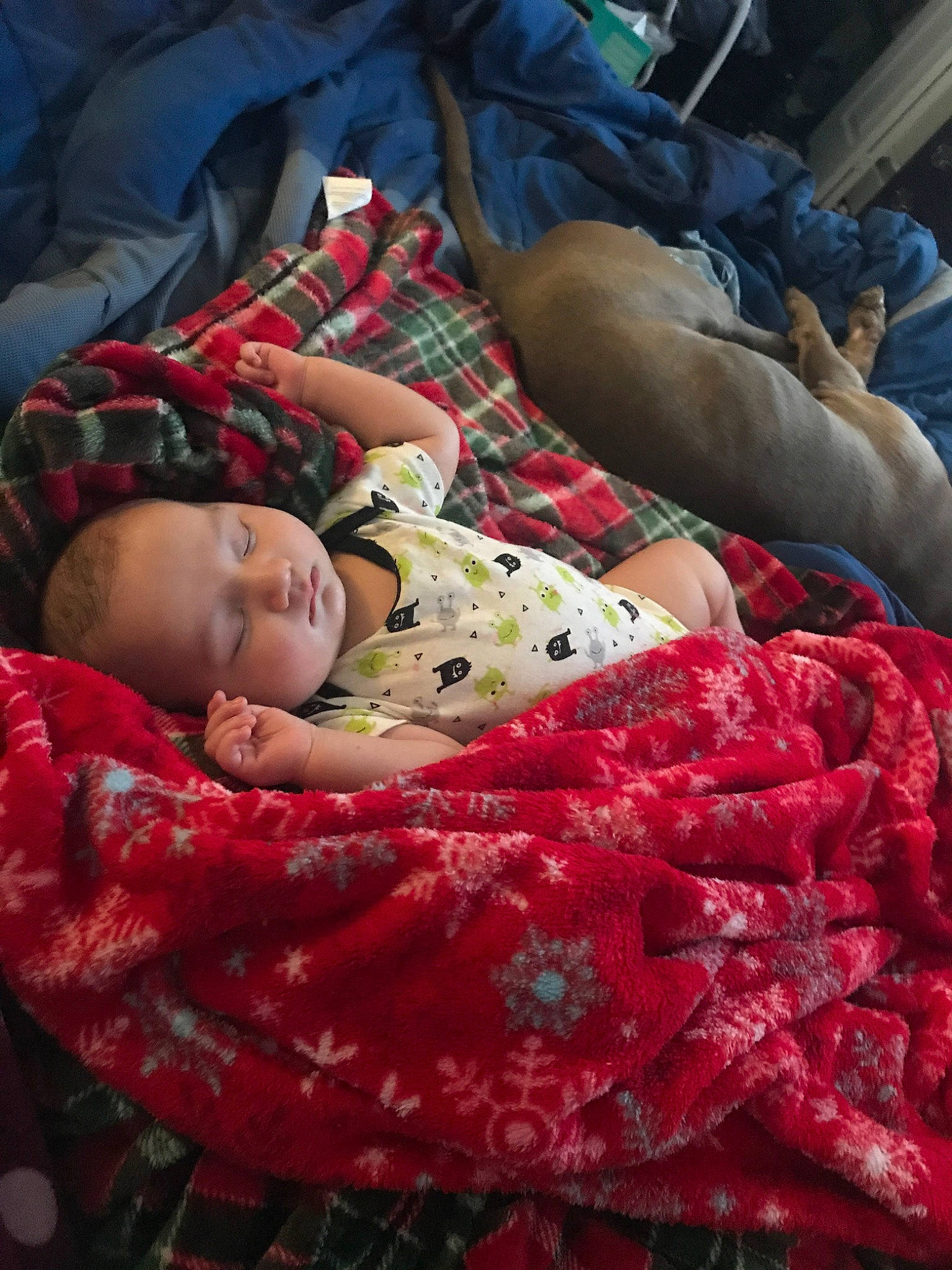 Cortez joined the competition — help win amazing prizes! baby, bedtime, child, nap, person, plant, red, sleep, textile, toddler