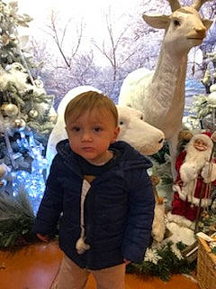 Matthew participe au concours pour gagner de l'argent avec cette photo : beauty, event, fawn, fun, giraffe, happy, jacket, leaf, organ, person, photograph, plant, sky, sleeve, snapshot, t_shirt, terrestrial_animal, toddler, tree, white