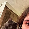 cat, gray_cat, pet, indoor, person, face, shoulder, curly_hair, collar, tag, leopard_print, curtain, ceiling, wall, closeup, portrait, home, feline, looking, cozy