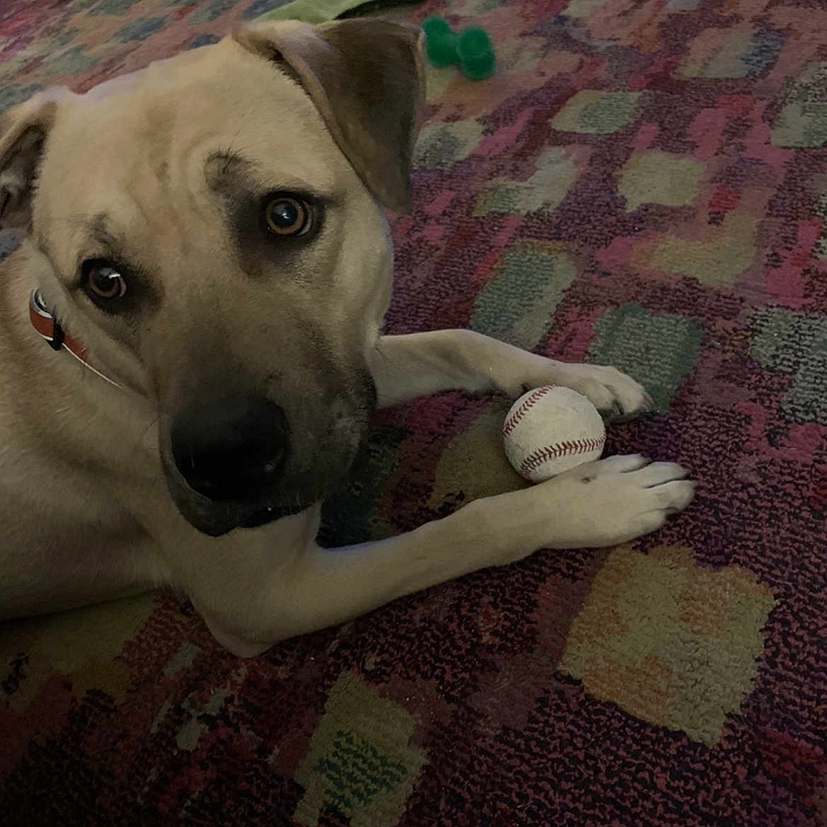 Benny
