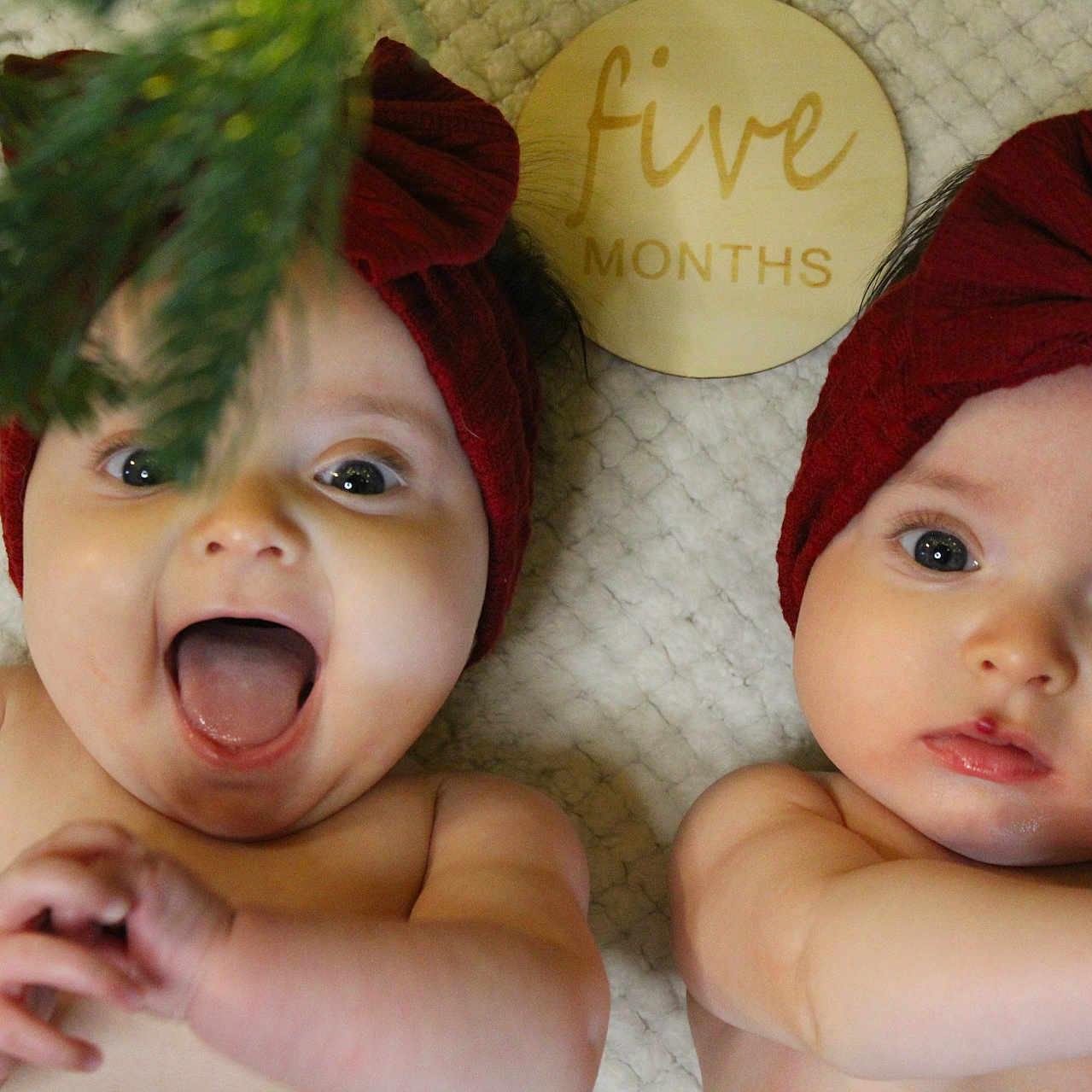 Violet And Lily is registered to the contest to win money with this photo: accessories, baby, bodypart, bonnet, cap, clothing, costume, face, finger, hand, happy, hat, head, mouth, newborn, person, photography, plant, portrait, tree