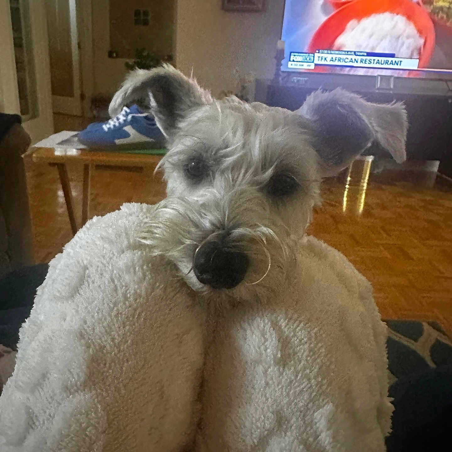Chloè