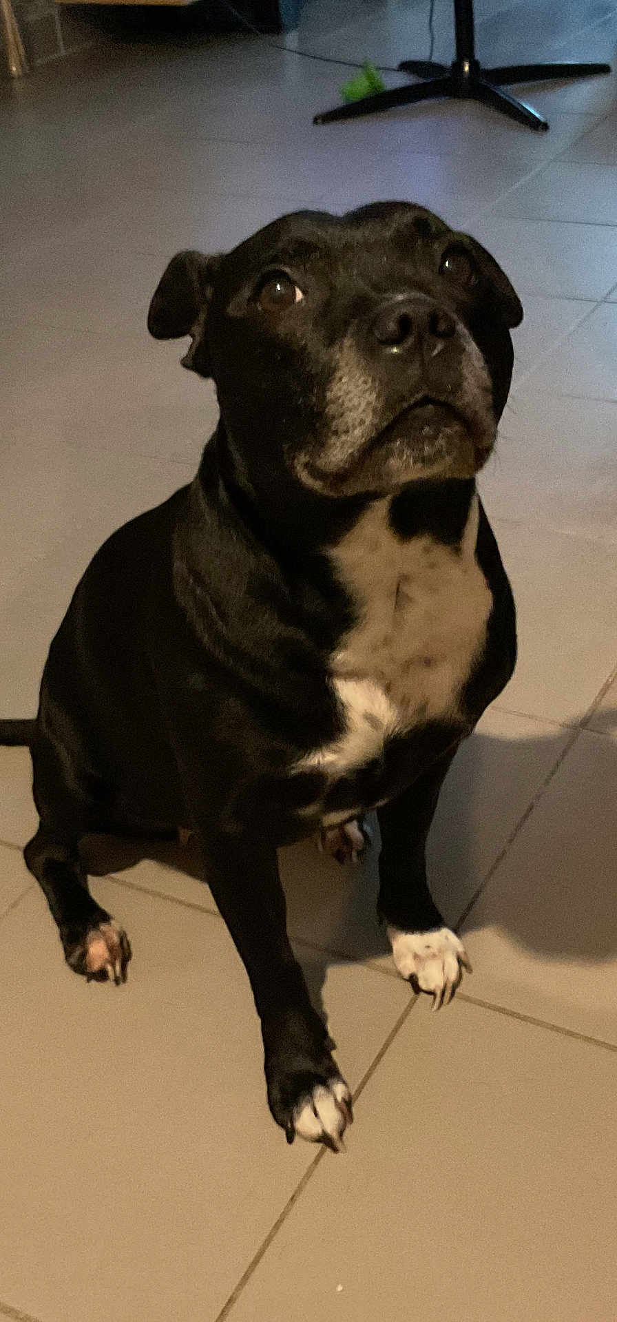 Nina