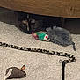cat, toy_mouse, carpet, cat_toy, feather_toy, curious_cat, indoor, furniture, pet, animal, playful, hiding, whiskers, cute, brown_furniture, soft_lighting, close_up, focus, domestic_cat, striped_toy