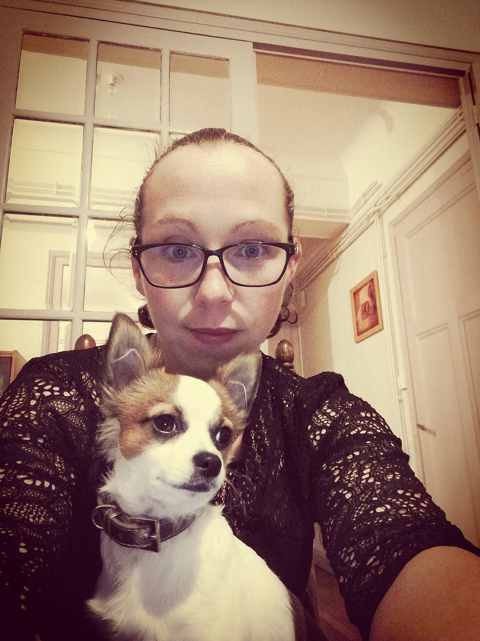 Oréo participe au concours pour gagner de l'argent avec cette photo : boston_terrier, canidae, companion_dog, cool, dog, dog_breed, ear, eye, eyebrow, eyewear, face, glasses, hair, head, mouth, nose, organ, person, selfie, smile