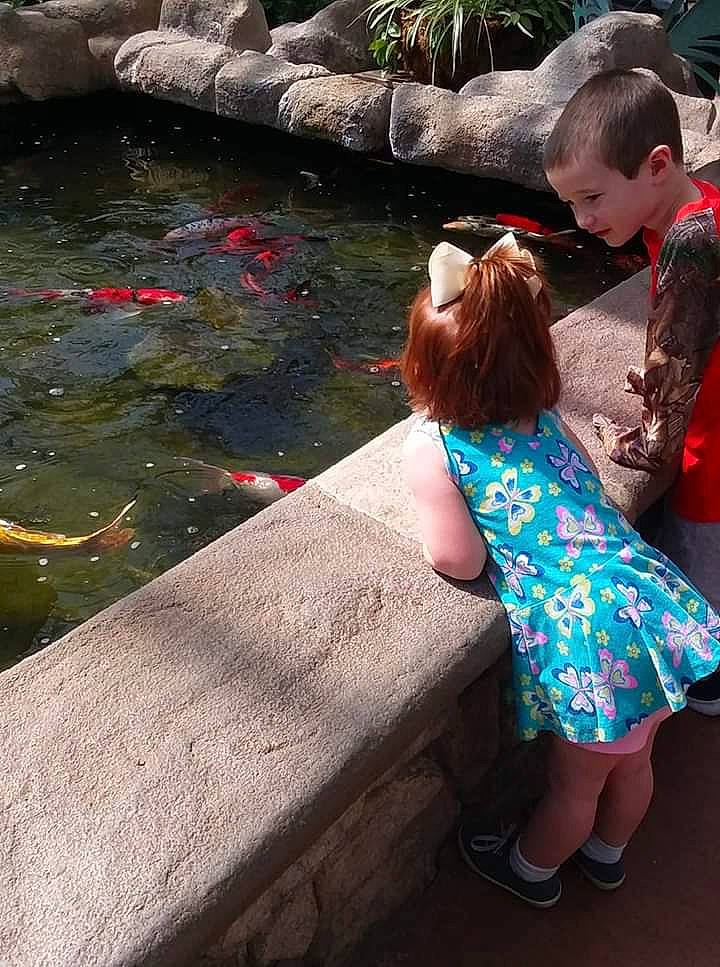 Ella is registered to the contest to win money with this photo: botany, child, daughter, fun, leg, leisure, people, person, plant, play, pond, sitting, summer, toddler, tourism, tree, vacation, water