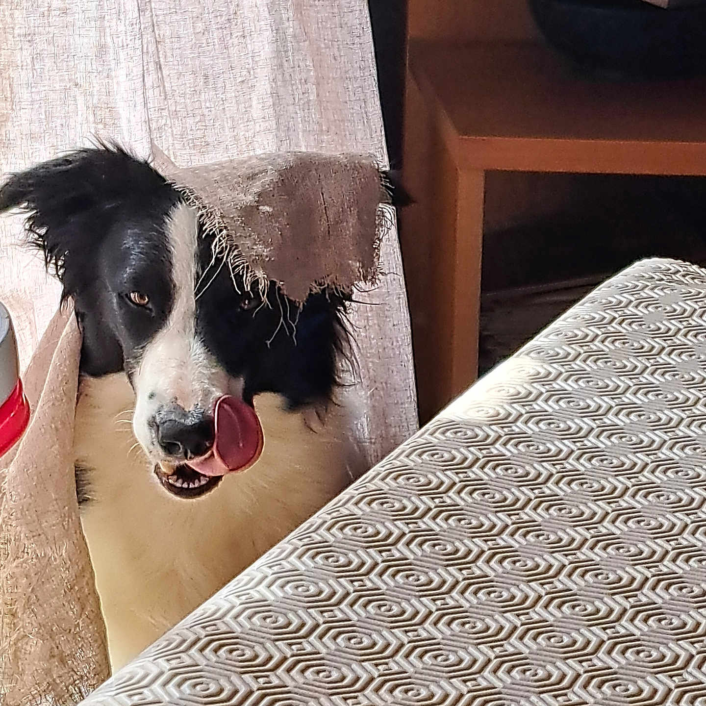 Tilly