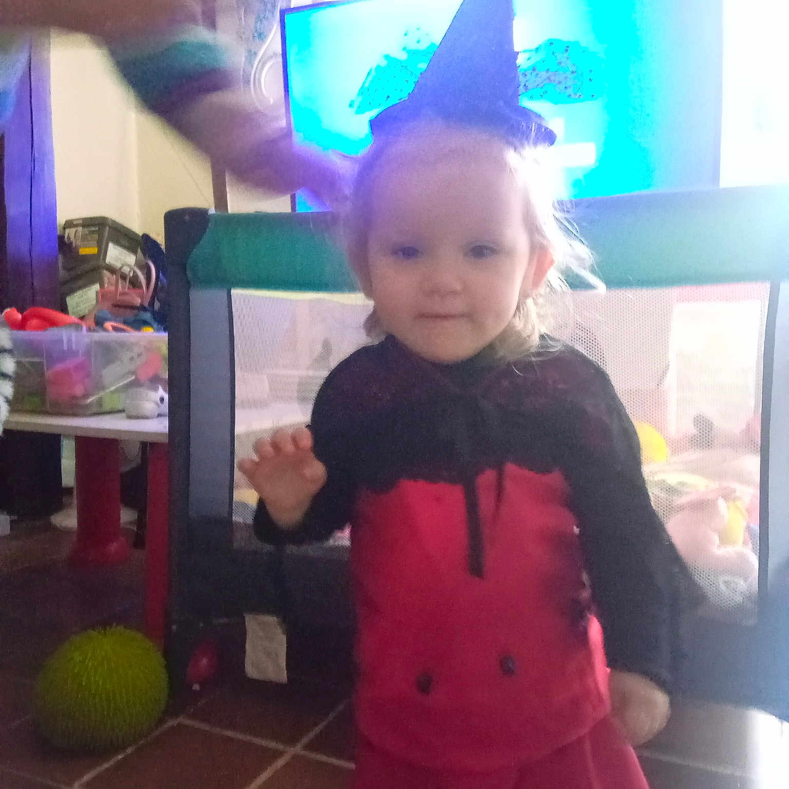 Elony