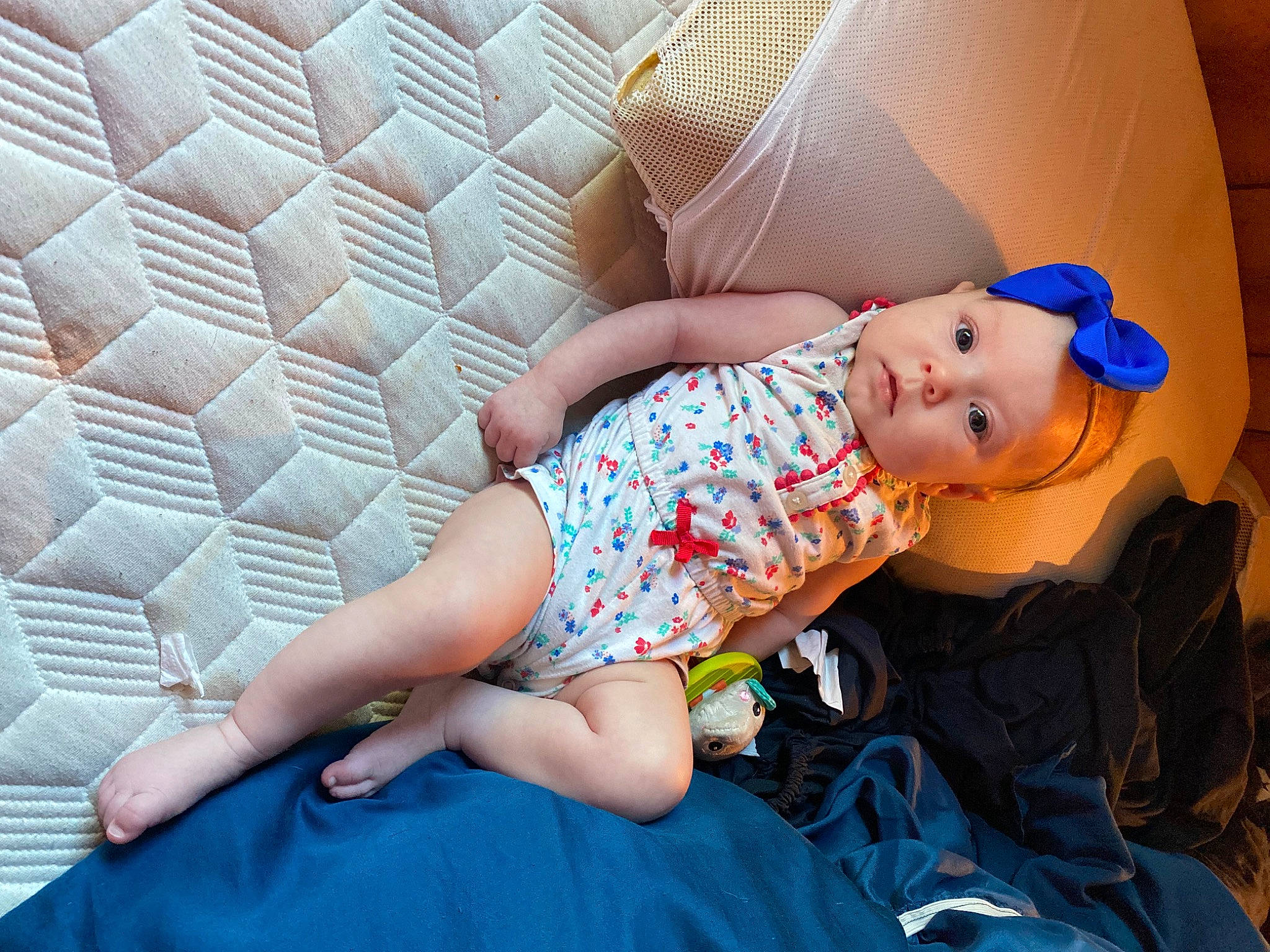 Hazel is registered to the contest to win money with this photo: baby_toddler_clothing, child, comfort, dress, electric_blue, finger, fun, grass, hat, human_body, human_leg, knee, leisure, pattern, person, purple, sitting, skin, textile, thigh