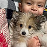 child, toddler, puppy, dog, pet, portrait, smiling, indoors, cuddling, holding, fluffy, small_dog, brown_hair, face, eyes, nose, couch, cushion, home, cute