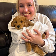 Daisy joined the competition — help win amazing prizes! person, puppy, dog, smile, white_sweatshirt, couch, leather_sofa, hands, ring, cozy, indoor, portrait, close_up, brown_fur, holding, cute, young_adult, sitting, cuddling, pet