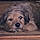 Milou