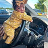 baby, bow, car, child, curly_hair, dashboard, expression, hand, indoor, infant, parking_lot, person, portrait, seatbelt, sky, steering_wheel, trees, vehicle, window, yellow_clothing