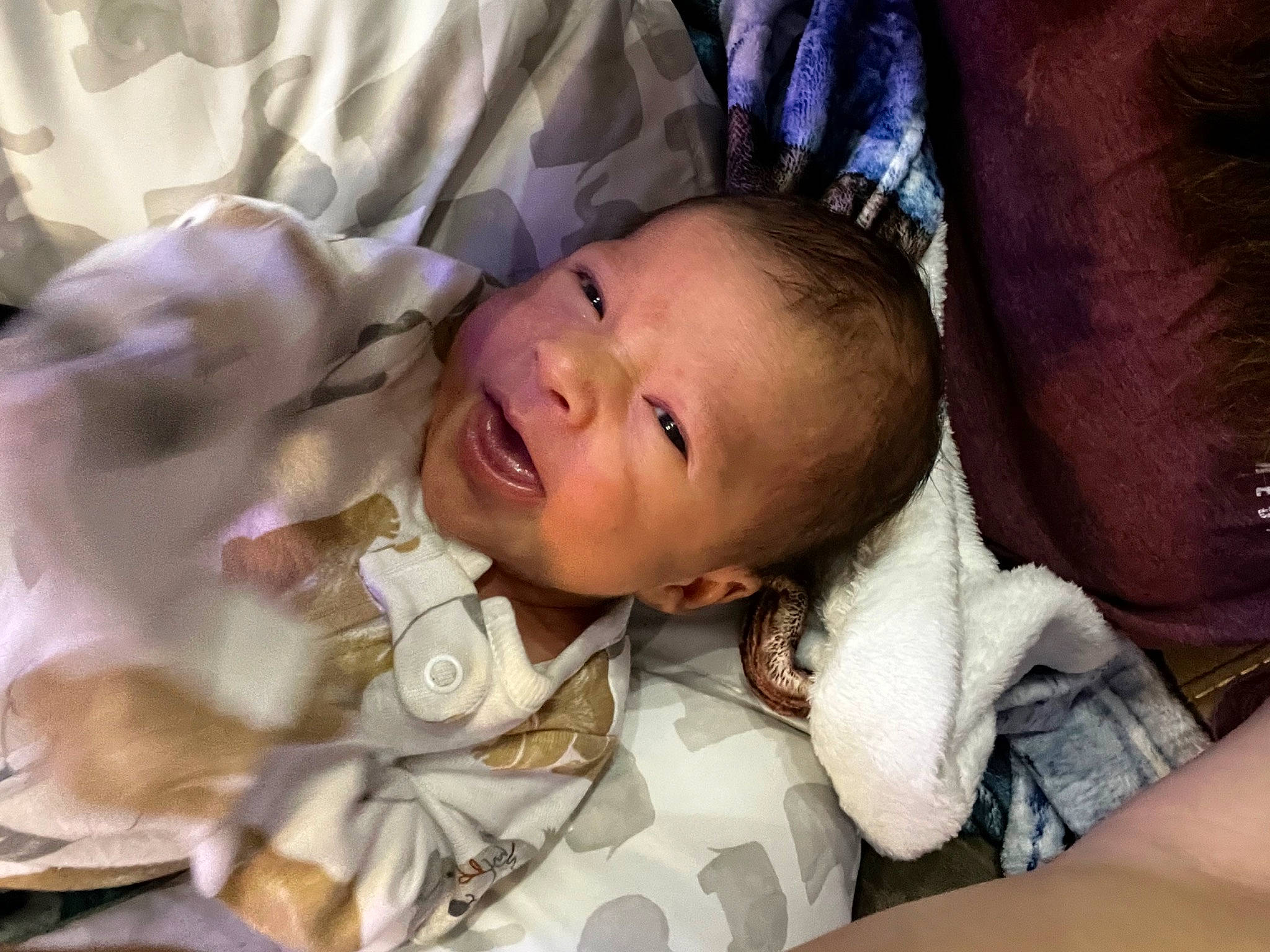 Jaxton is registered to the contest to win money with this photo: baby, baby_products, baby_toddler_clothing, cheek, child, comfort, eyelash, fun, happy, iris, mammal, mouth, nose, person, skin, sleep, smile, toddler, tree, vertebrate