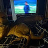 Outlaw joined the competition — help win amazing prizes! dog, bed, blanket, television, indoor, furniture, relaxing, animal, pet, collar, brown_dog, black_and_white_blanket, blurred_background, living_room, resting, canine, household, domestic, sleeping, companion
