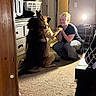 Outlaw is registered to the contest to win money with this photo: dog, person, indoor, carpet, lamp, furniture, drawer, playing, pet, light, smiling, short_hair, checkered_pants, holding_hands, german_shepherd, cozy, room, shadows, interaction, casual