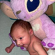 Evaleighn is registered to the contest to win money with this photo: baby, infant, stuffed_animal, plush_toy, purple, soft_texture, cuddly, cute, newborn, face, skin, child, toy, indoor, blanket, lying_down, small, adorable, comfort, closeup