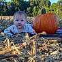 baby, pumpkin, pumpkin_patch, outdoor, fall, autumn, field, nature, child, forest, blue_sky, blanket, cute, person, smiling, harvest, seasonal, young_child, crawling, daylight