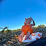 Evaleighn joined the competition — help win amazing prizes! baby, pumpkin, outdoor, field, sky, hat, blanket, corn_stalks, autumn, child, nature, barefoot, orange, cute, seasonal, sitting, holding, playful, portrait, daytime