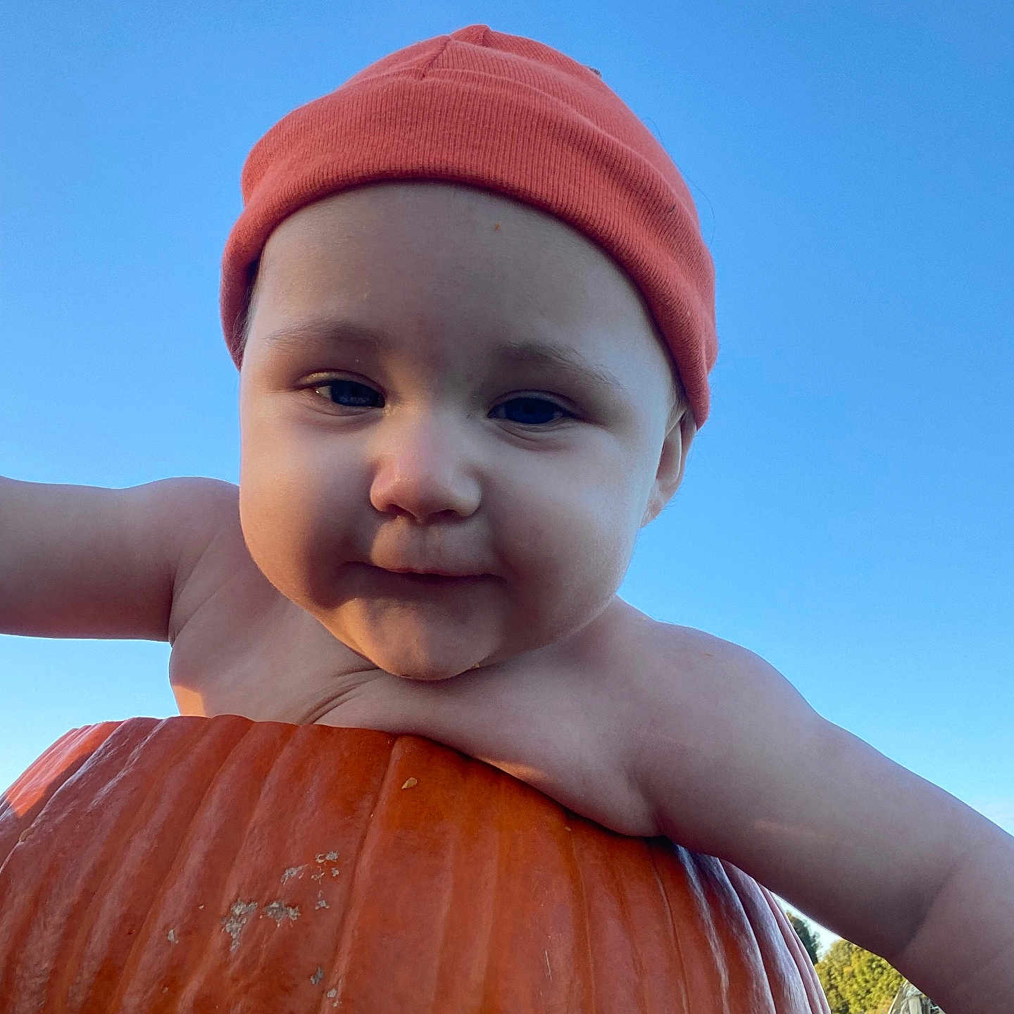 Evaleighn is registered to the contest to win money with this photo: autumn, baby, cheeks, child, curious, cute, daylight, face, headwear, holiday, nature, orange_beanie, outdoor, person, portrait, pumpkin, seasonal, sky, smile, young_child