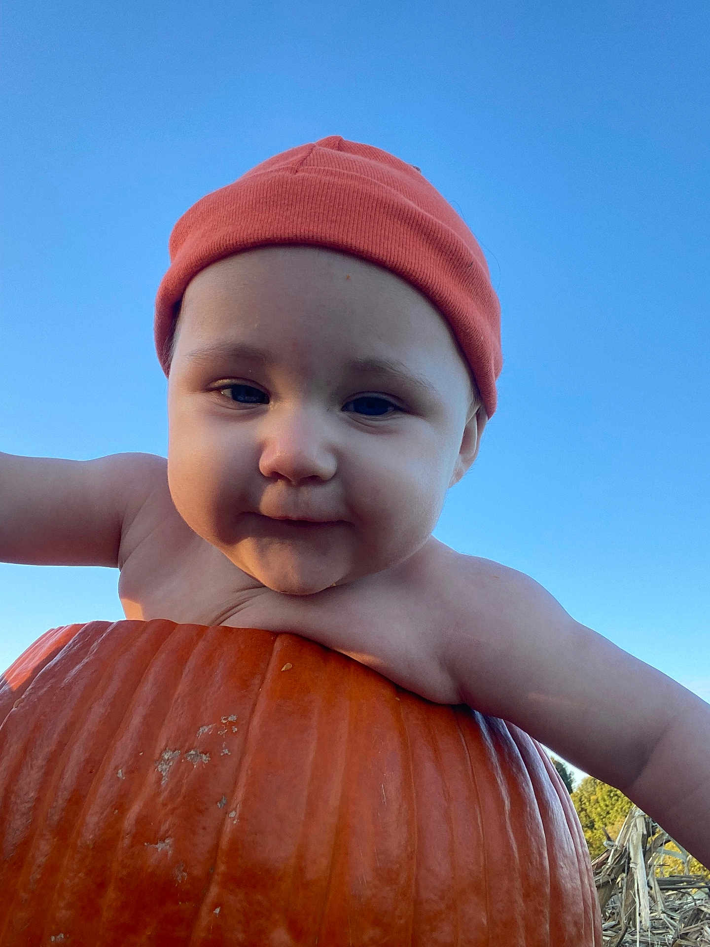 Evaleighn is registered to the contest to win money with this photo: baby, child, pumpkin, orange_beanie, outdoor, sky, autumn, cute, smile, face, headwear, nature, seasonal, person, young_child, daylight, cheeks, curious, portrait, holiday