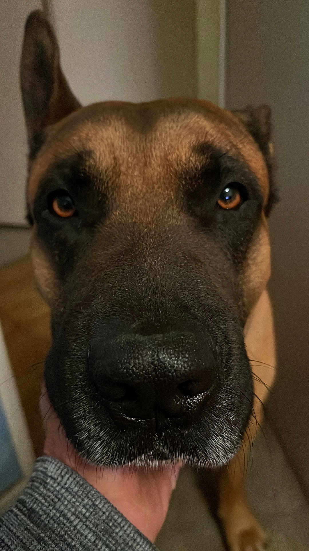 Marley